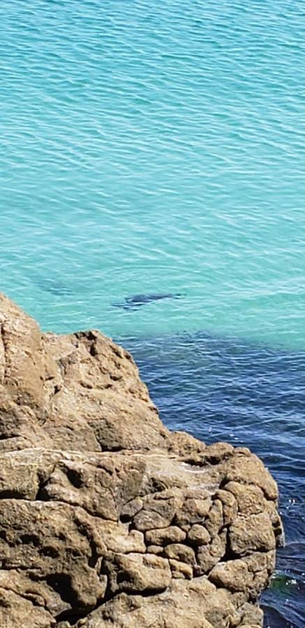 Apartamento Frente Mar Com 02 Suites Bombinhas Luaran gambar